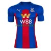 Maillot de Supporter Crystal Palace Domicile 2020-21 Pour Homme